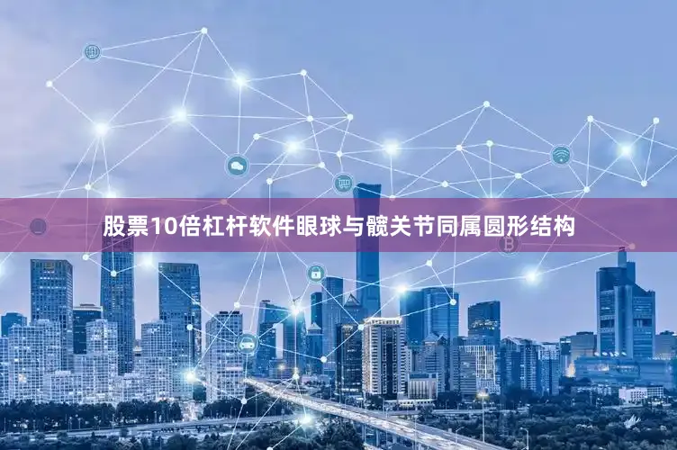股票10倍杠杆软件眼球与髋关节同属圆形结构