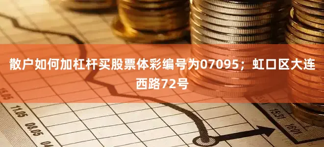 散户如何加杠杆买股票体彩编号为07095；虹口区大连西路72号