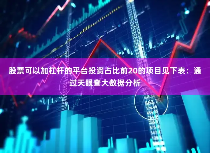 股票可以加杠杆的平台投资占比前20的项目见下表：通过天眼查大数据分析