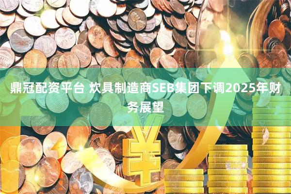 鼎冠配资平台 炊具制造商SEB集团下调2025年财务展望