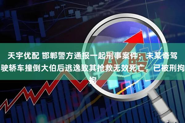 天宇优配 邯郸警方通报一起刑事案件：未某奇驾驶轿车撞倒大伯后逃逸致其抢救无效死亡，已被刑拘
