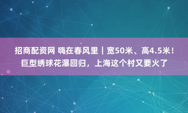 招商配资网 嗨在春风里｜宽50米、高4.5米！巨型绣球花瀑回归，上海这个村又要火了