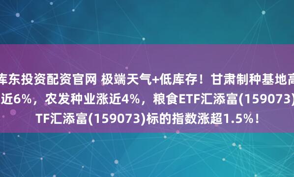 库东投资配资官网 极端天气+低库存！甘肃制种基地高温减产！神农种业涨近6%，农发种业涨近4%，粮食ETF汇添富(159073)标的指数涨超1.5%！